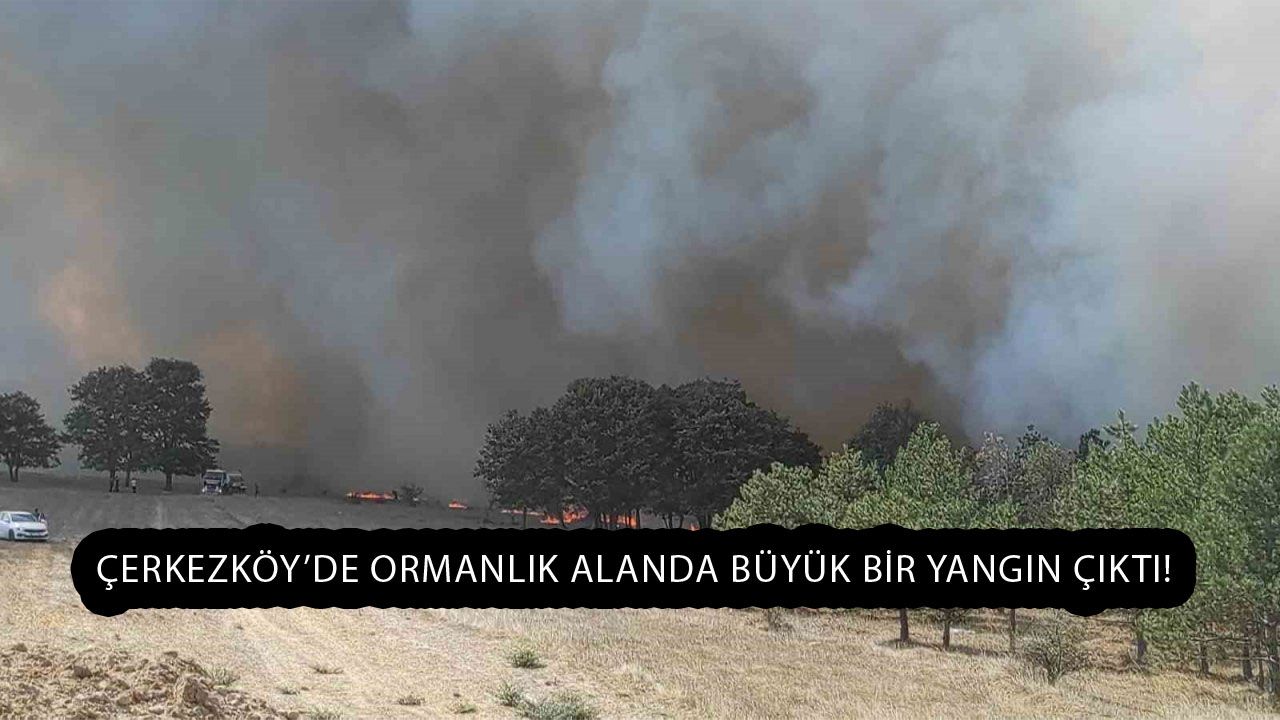 Çerkezköy’de Ormanlık Alanda Büyük Bir Yangın Çıktı!