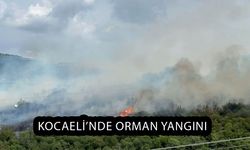 Kocaeli’de Orman Yangını! Bölgeye Ekipler Sevk Edildi
