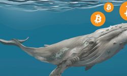 Bitcoin Balinalarından Büyük Hamle: 10 Günde 20.000 BTC Alımı