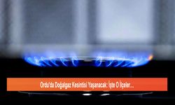 Ordu'da Doğalgaz Kesintisi Yaşanacak: İşte O İlçeler…