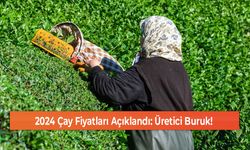 2024 Çay Fiyatları Açıklandı: Üretici Buruk!
