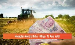 Hesapları Kontrol Edin: 1 Milyar TL Para Yattı!