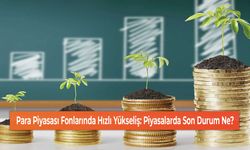 Para Piyasası Fonlarında Hızlı Yükseliş: Piyasalarda Son Durum Ne?