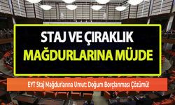 EYT Staj Mağdurlarına Umut: Doğum Borçlanması Çözümü!