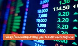 Ekim Ayı Temettü Gelirleri Dağıtılıyor: Hangi Şirket Ne Kadar Ödeyecek?