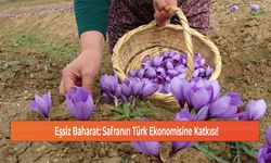 Eşsiz Baharat: Safranın Türk Ekonomisine Katkısı!