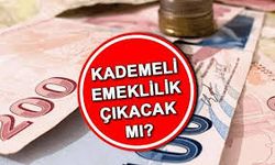 TÜED’den 2000 Sonrası Emekliler İçin İntibak Düzenlemesi Çağrısı