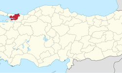 Kocaeli'nin En Ünlü Köyü Belli Oldu!