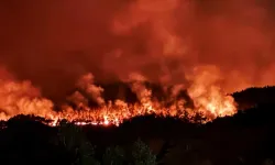 Alev Alev Türkiye! Sakarya'dan Bilecik'e Sıçradı, Eskişehir Duman Altında! Bakan Yumaklı 3 Büyük Felaketi Duyurdu!