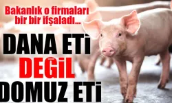 Domuz Eti Alarmı: Bakanlık Uyardı, Marketlerde Satılan Salamlar Geri Çekiliyor
