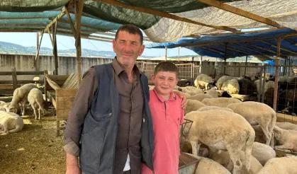 Kurban Satışları Bu Sene Düştü
