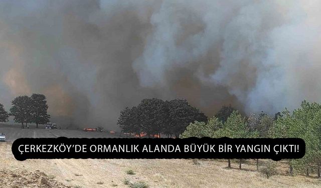 Çerkezköy’de Ormanlık Alanda Büyük Bir Yangın Çıktı!
