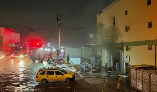 Çayırova Boya Fabrikasında Yangın Çıktı