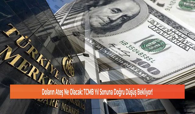 Doların Ateş Ne Olacak: TCMB Yıl Sonuna Doğru Düşüş Bekliyor!