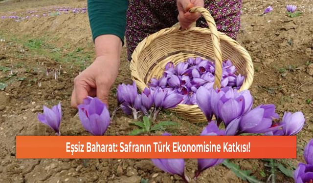 Eşsiz Baharat: Safranın Türk Ekonomisine Katkısı!