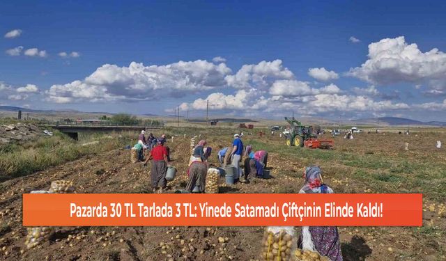 Pazarda 30 TL Tarlada 3 TL: Yinede Satamadı Çiftçinin Elinde Kaldı!