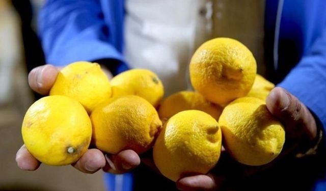 Türkiye'nin Tarım Alarmı: Limon İhracatında Yasaklı Kimyasallar Krizi!