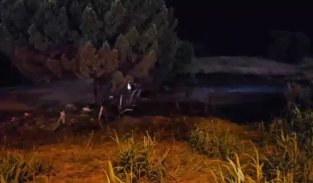 Düğün Eğlencesi Felakete Yol Açıyordu: Havai Fişekler Otluk Alanda Yangına Sebep Oldu