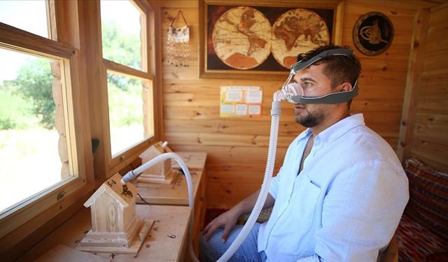 Arıların Şifalı Nefesi: Alerji ve Solunum Rahatsızlıklarında Doğal Destek