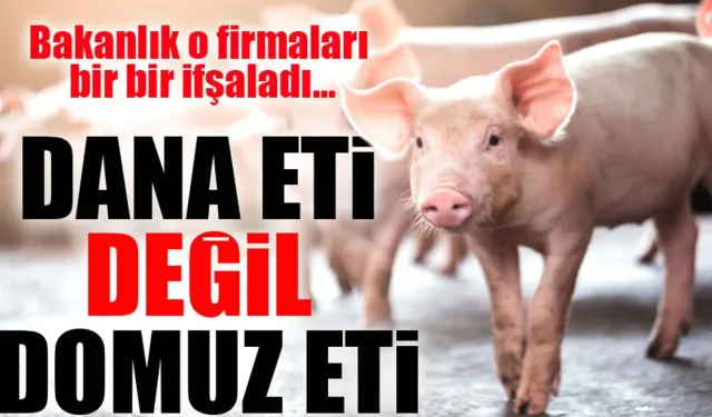 Domuz Eti Alarmı: Bakanlık Uyardı, Marketlerde Satılan Salamlar Geri Çekiliyor