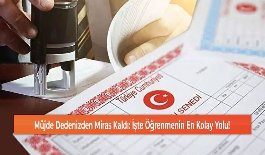 Müjde Dedenizden Miras Kaldı: İşte Öğrenmenin En Kolay Yolu!