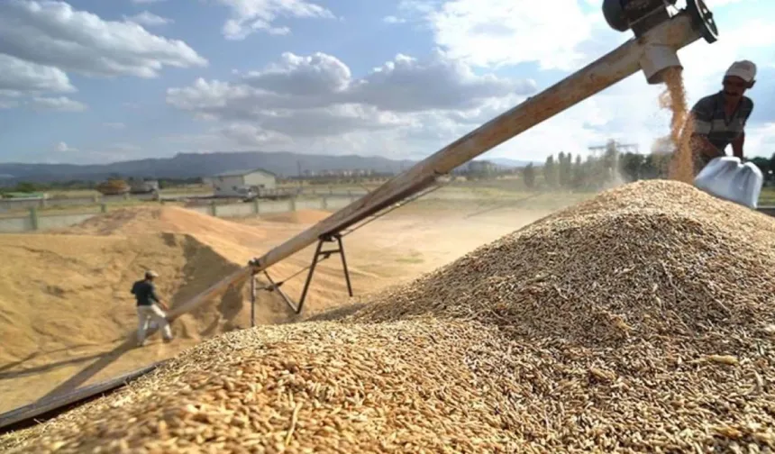 Çiftçiye Hibeli Tohum: 33 Ton Tohum Dağıtıldı!